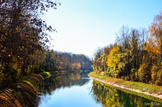 LoveAndLilies.de | Herbst im Englischen Garten