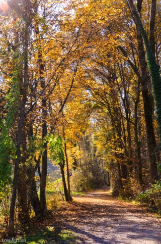 LoveAndLilies.de | Herbst im Englischen Garten