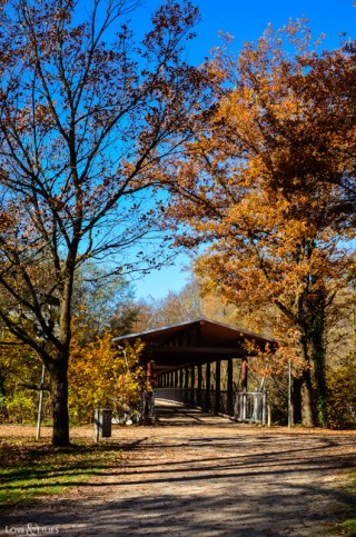 LoveAndLilies.de | Herbst im Englischen Garten