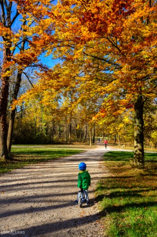 LoveAndLilies.de | Herbst im Englischen Garten