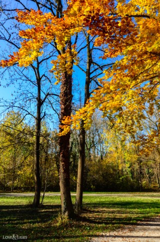 LoveAndLilies.de | Herbst im Englischen Garten