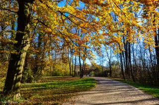 LoveAndLilies.de | Herbst im Englischen Garten