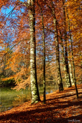 LoveAndLilies.de | Herbst im Englischen Garten