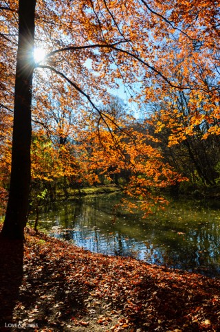 LoveAndLilies.de | Herbst im Englischen Garten