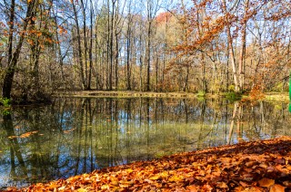 LoveAndLilies.de | Herbst im Englischen Garten