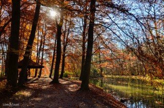 LoveAndLilies.de | Herbst im Englischen Garten