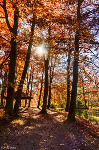 LoveAndLilies.de | Herbst im Englischen Garten